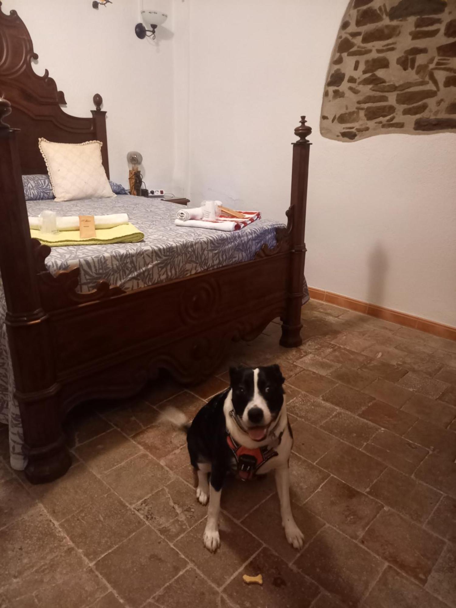 Hostal Rural Mas Blanc San Martín de Centellas Zewnętrze zdjęcie