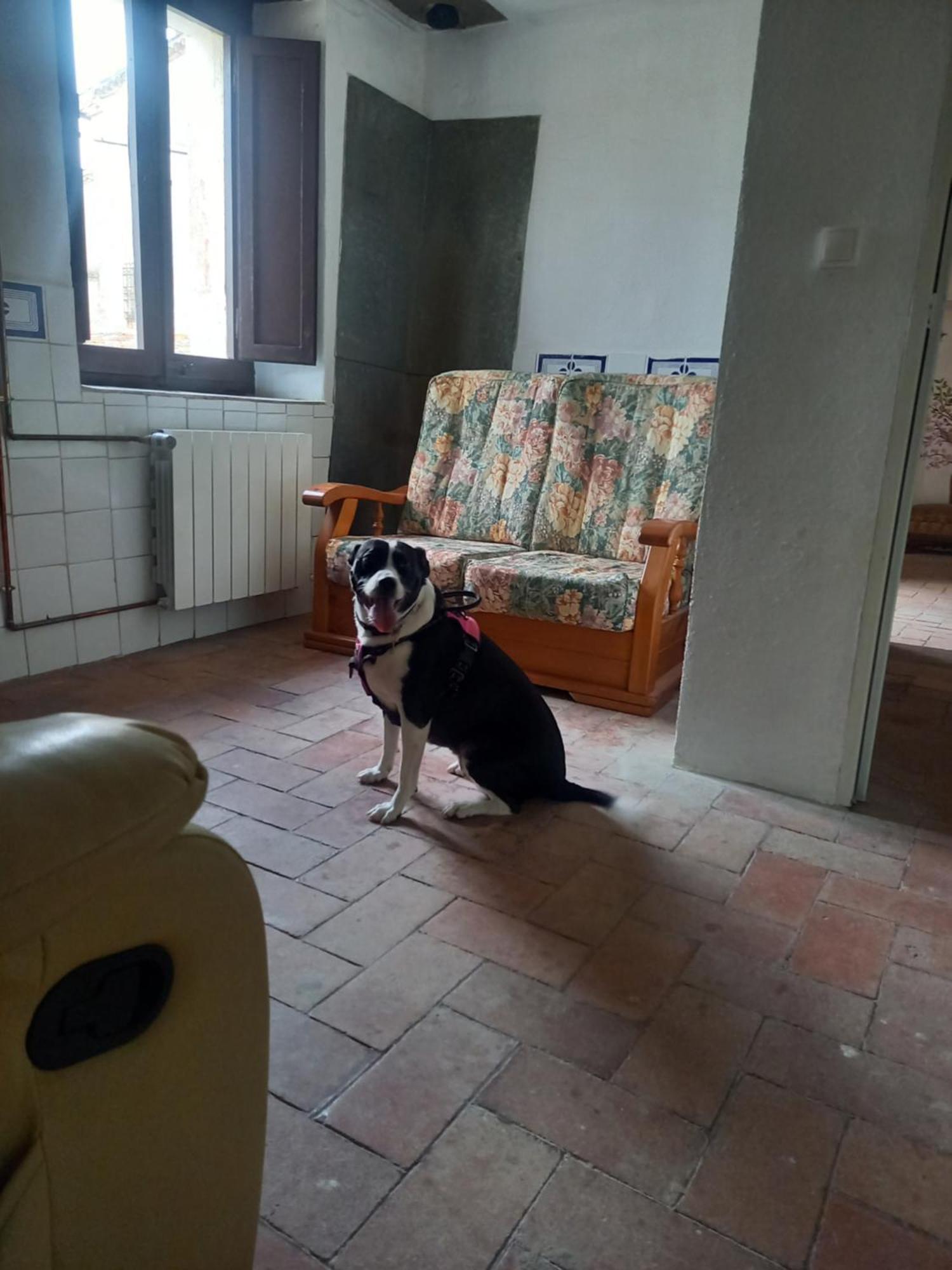 Hostal Rural Mas Blanc San Martín de Centellas Zewnętrze zdjęcie